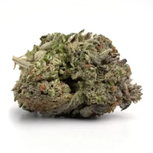 Buy Alien OG Seeds Online