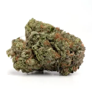 Buy Black Mamba Strain Online