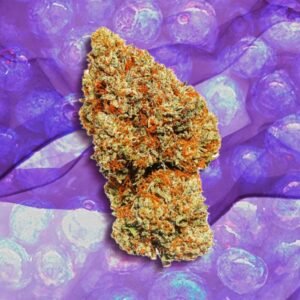 Buy Blueberry Strain Online