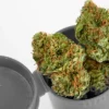 Buy AK-47 Weed Strain Online