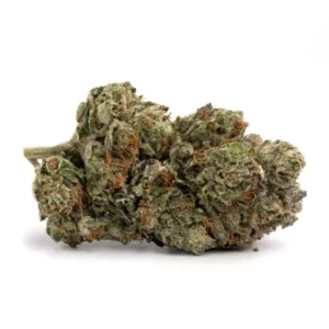 Buy G13 Cannabis Strain Online