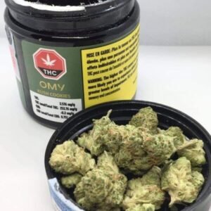 Buy Kush Cookies Weed Strain Online