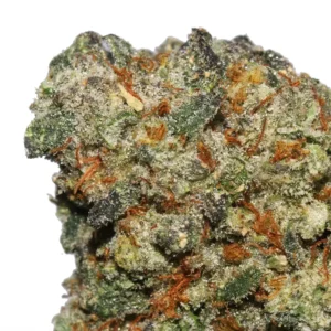 Buy Jealous ZaZa Strain Online