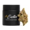 Buy J1 Los Exotics Online